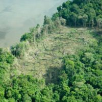 Jahresrückblick 28. April & Auswirkungen von Corona auf den Regenwald